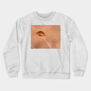 Queen Butterfly On An Autumn Day Crewneck Sweatshirt